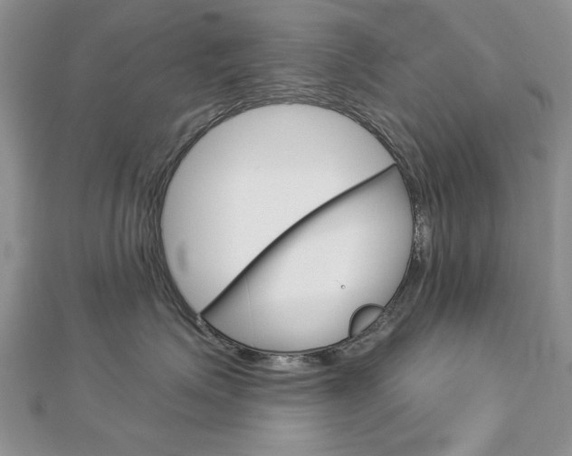 X0000113020623200908271035