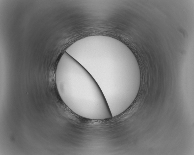 X0000113020624200908271035