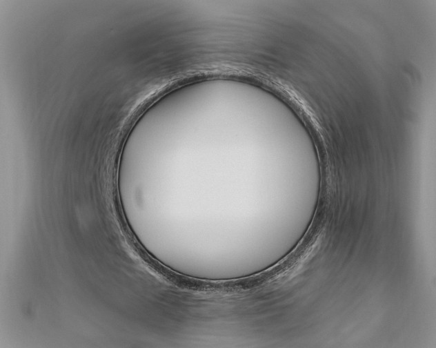 X0000113020625200908271034