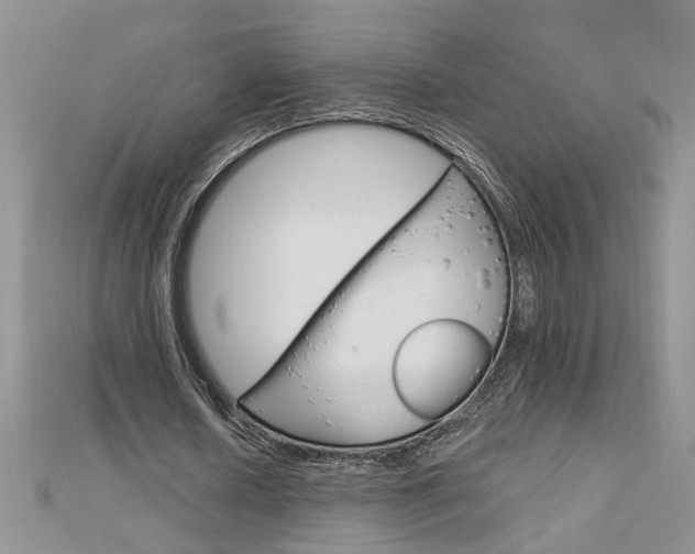 X0000113020626200908271034