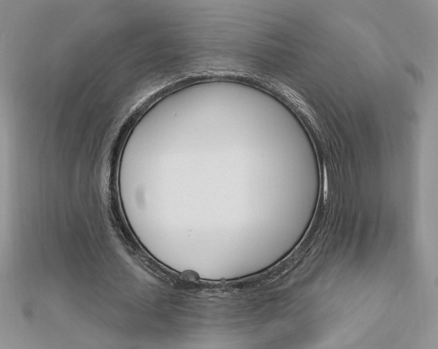 X0000113020627200908271034