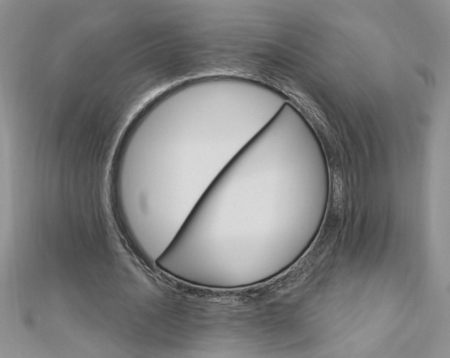 X0000113020628200908271034