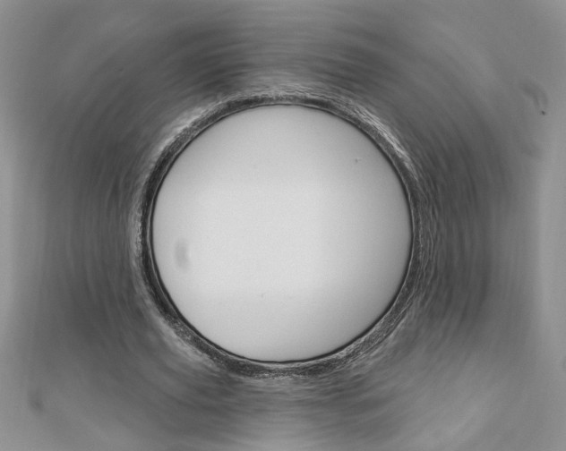 X0000113020629200908271034