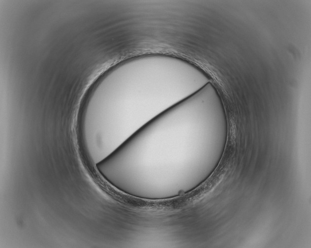 X0000113020630200908271034