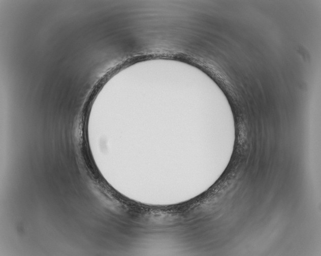 X0000113020632200908271034