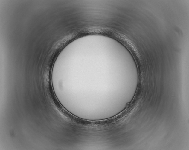 X0000113020633200908271034