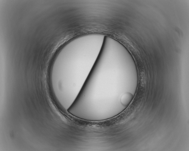 X0000113020634200908271034