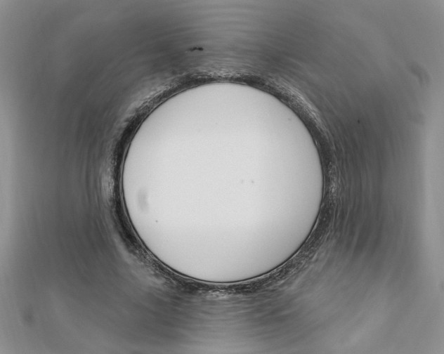 X0000113020635200908271034