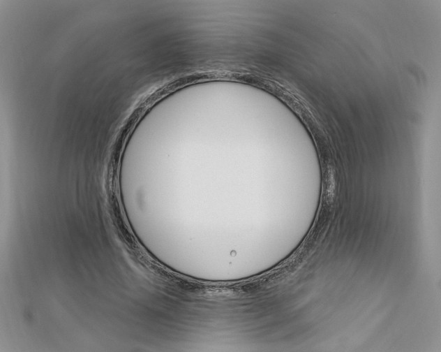 X0000113020636200908271034