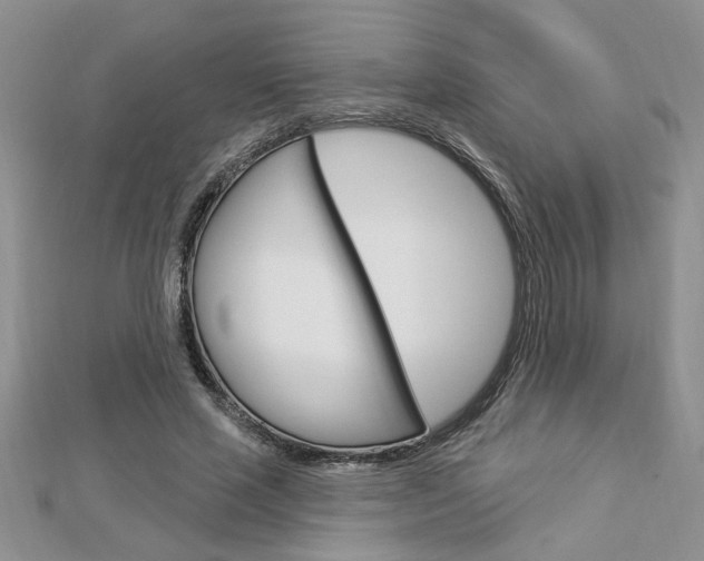 X0000113020637200908271034