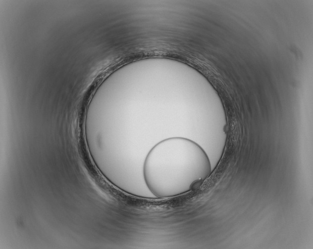 X0000113020638200908271034