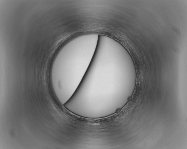 X0000113020640200908271034