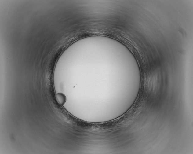 X0000113020641200908271034
