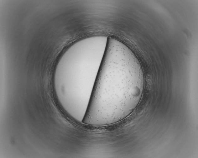 X0000113020642200908271034