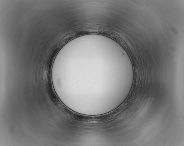 X0000113020643200908271034