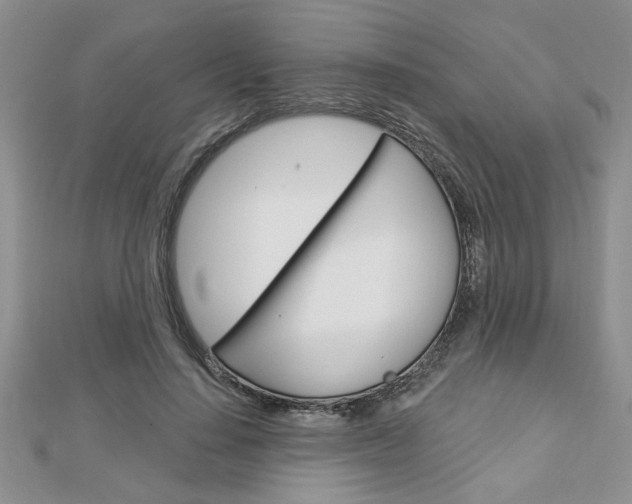 X0000113020644200908271035