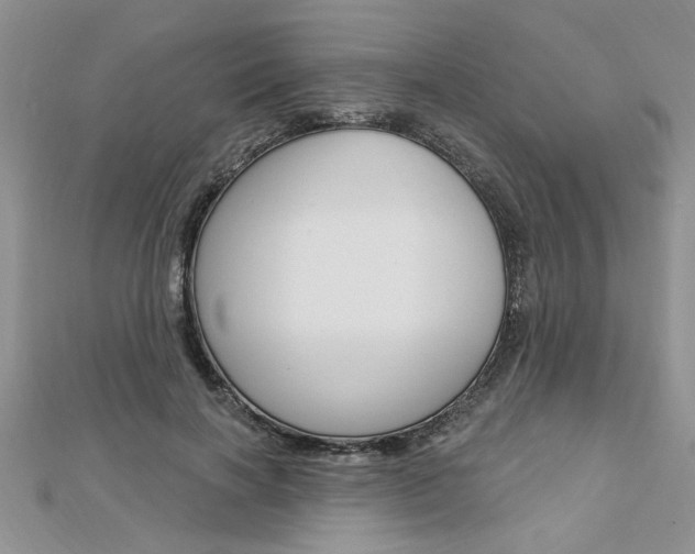 X0000113020646200908271035