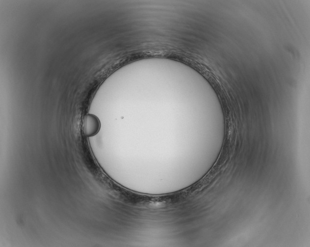 X0000113020647200908271035