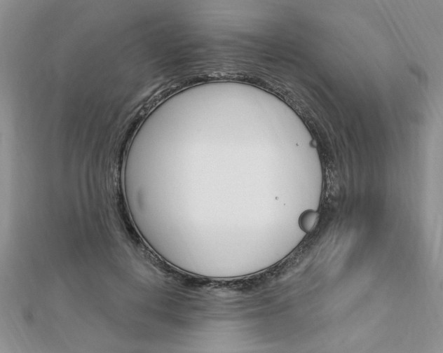 X0000113020648200908271035