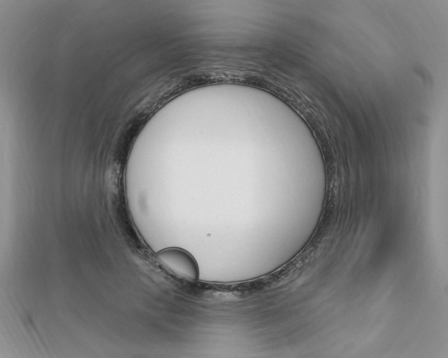 X0000113020649200908271035