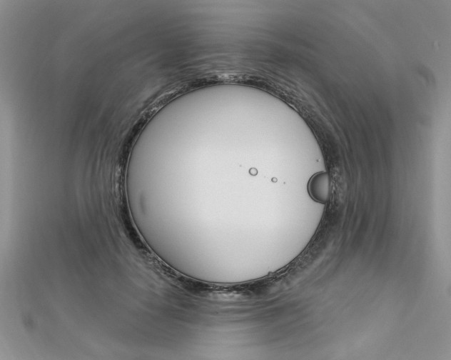 X0000113020650200908271035