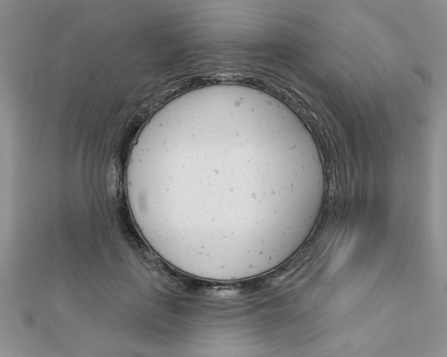 X0000113020651200908271035