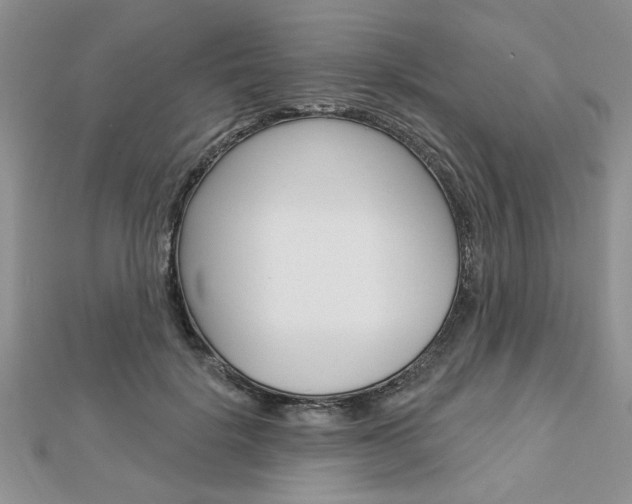 X0000113020652200908271035