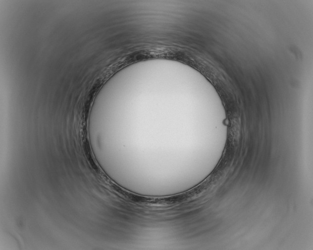 X0000113020653200908271035
