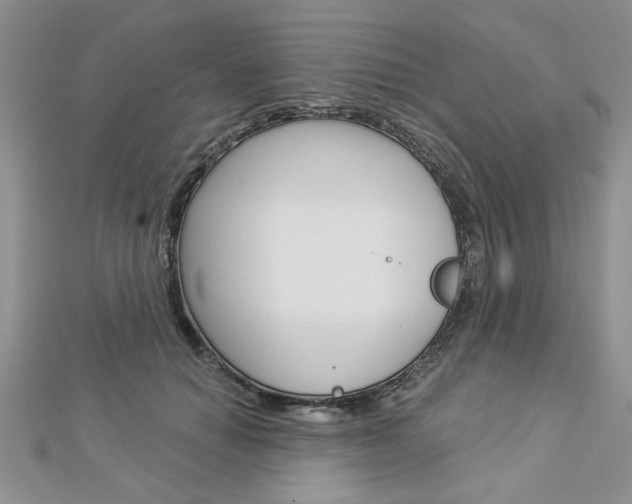 X0000113020654200908271035