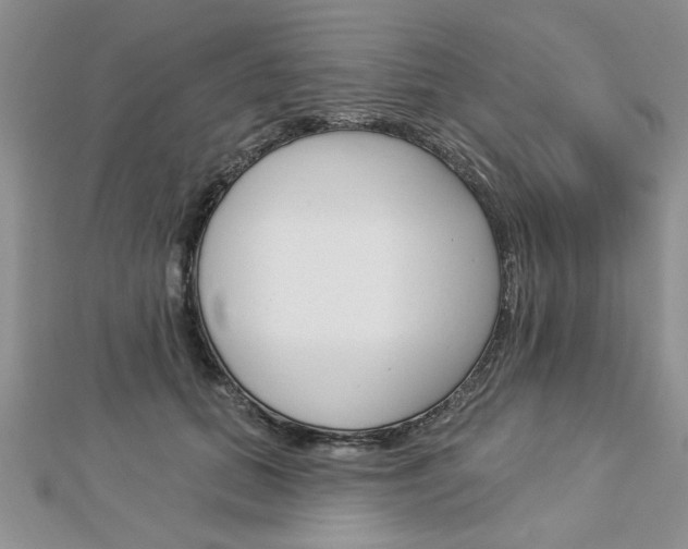 X0000113020655200908271035