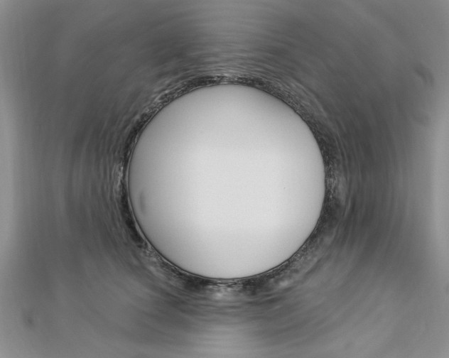 X0000113020660200908271035