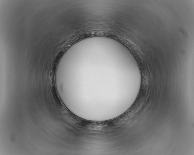 X0000113020661200908271035