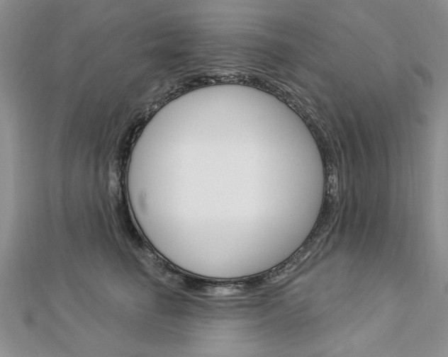 X0000113020662200908271035