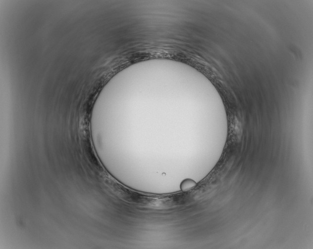 X0000113020663200908271035