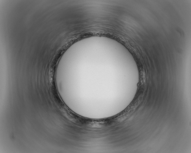 X0000113020664200908271035