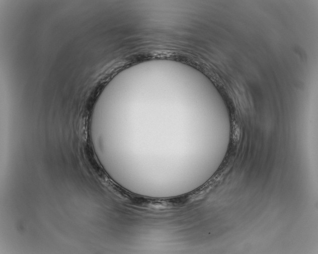 X0000113020666200908271035
