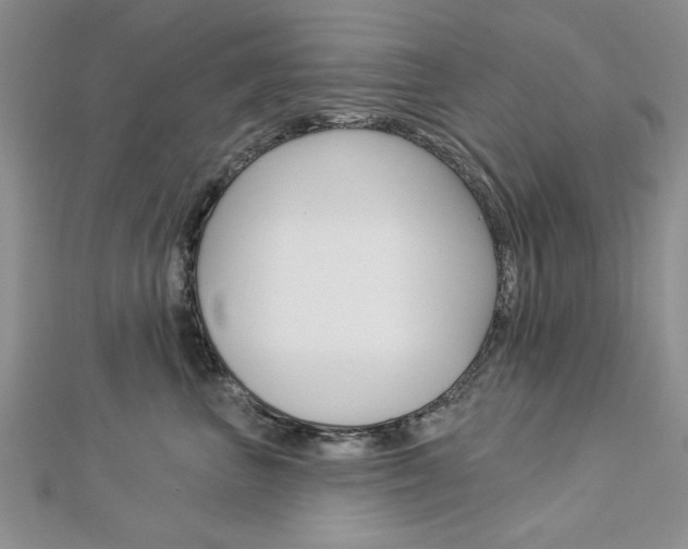 X0000113020667200908271035