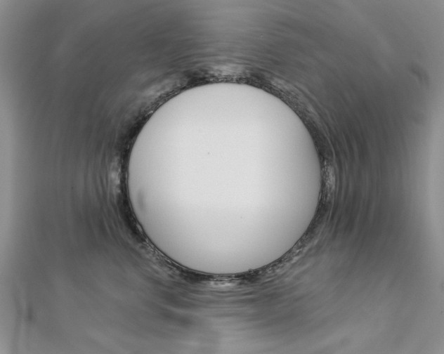 X0000113020668200908271035