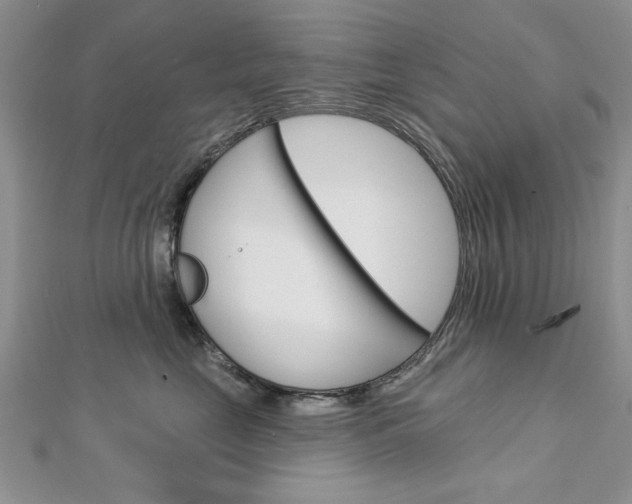 X0000113020669200908271035
