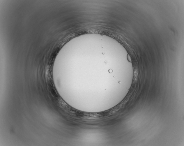 X0000113020671200908271035