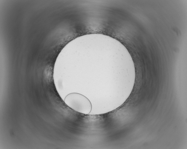 X0000113020672200908271035