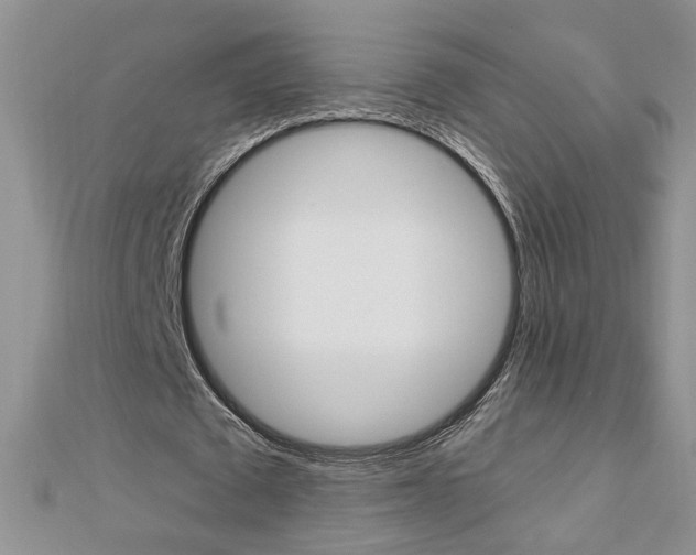 X0000113020673200908271034