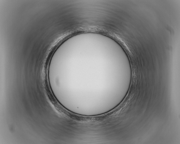 X0000113020674200908271034
