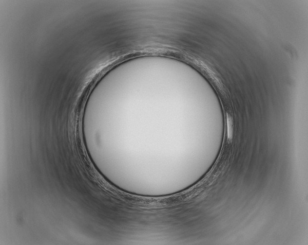 X0000113020675200908271034