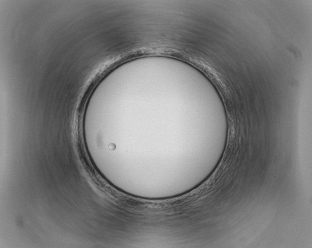 X0000113020678200908271034