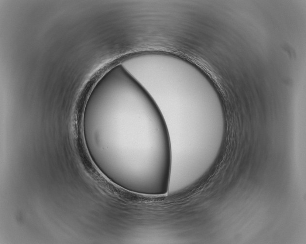 X0000113020680200908271034