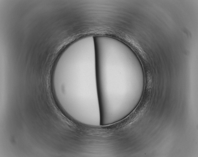 X0000113020681200908271034