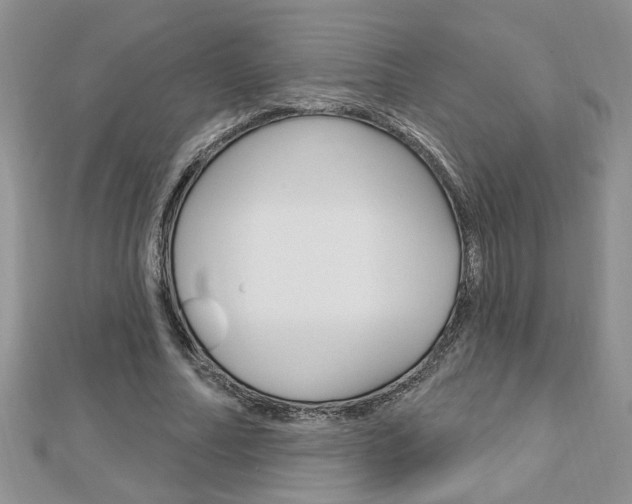 X0000113020682200908271034