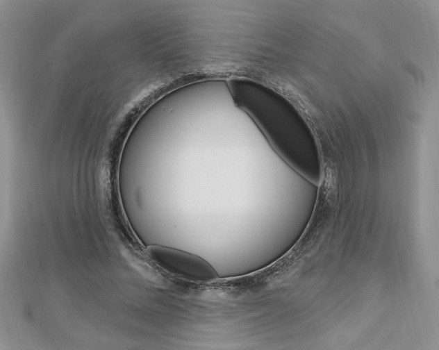 X0000113020684200908271034