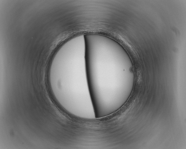 X0000113020685200908271034